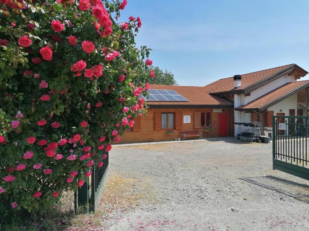 Agriturismo Bio Apipoli Lucino Extérieur photo